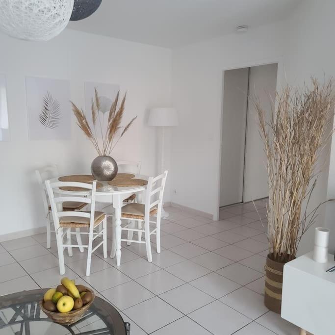 Appartement 63 M2, Tout Confort, Climatise. Saint-Cyprien  Εξωτερικό φωτογραφία