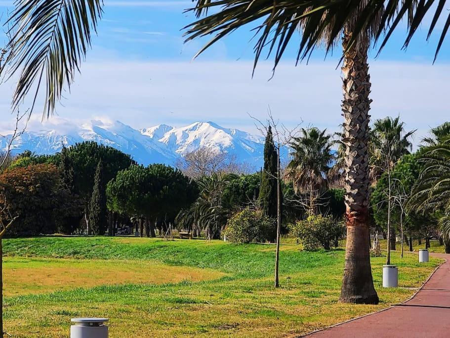 Appartement 63 M2, Tout Confort, Climatise. Saint-Cyprien  Εξωτερικό φωτογραφία